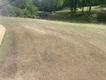 IMG_2422.jpeg