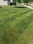 20230602_110642.jpg