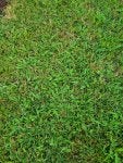 20230619_173120.jpg