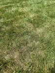 IMG_5408.jpeg