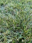 IMG_5445.jpeg