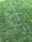 IMG_5446.jpeg