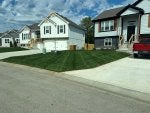 yard3.jpg