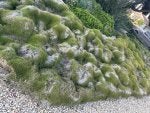 IMG_3336.jpeg