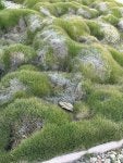 IMG_3334.jpeg