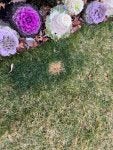 IMG_5863.jpeg