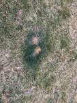 IMG_5864.jpeg