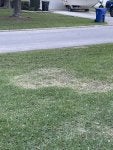 IMG_6187.jpeg