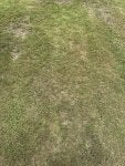 IMG_2530.jpeg