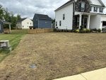 IMG_7650.jpeg