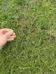 IMG_7996.jpeg