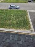 20240902_090823.jpg