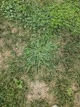20240901_103254.jpg