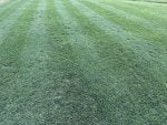 IMG_4883.jpeg