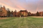 IMG_7147.jpeg