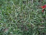 PXL_20241218_080832782.jpg