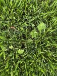 IMG_0833.jpeg