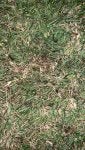 IMG_7087.jpeg