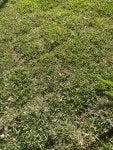 IMG_7091.jpeg