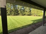 IMG_0993.jpeg