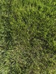 IMG_0992.jpeg