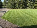 IMG_0991.jpeg