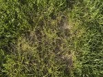 IMG_1025.jpeg