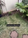 IMG_0532.jpeg