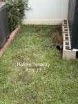 IMG_0493.jpeg