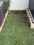 IMG_0386.jpeg
