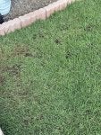 IMG_0384.jpeg