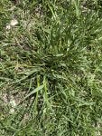 IMG_5359.jpeg