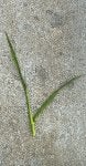 IMG_5361.jpeg