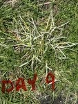 IMG_1124.jpeg