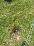 IMG_0758.jpeg