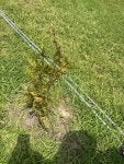 IMG_0759.jpeg