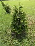 IMG_0755.jpeg